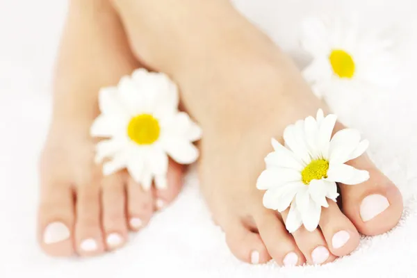 Piedi curati su un asciugamano bianco con margherite